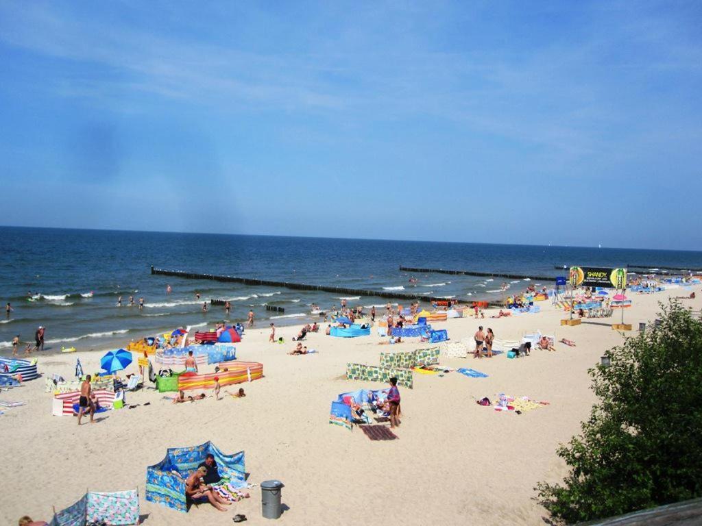 Natura Park Ustronie Morskie - Domki, Apartamenty エクステリア 写真